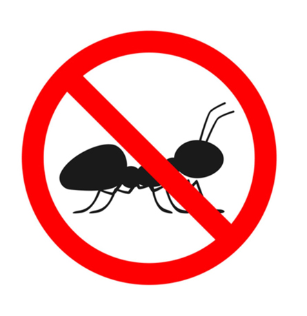 Dedetização de formigas em Mairiporã